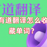 有道翻译怎么收藏单词？