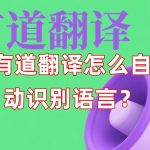 有道翻译怎么自动识别语言？