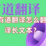 有道翻译怎么翻译长文本？