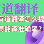 有道翻译怎么提高翻译准确率？